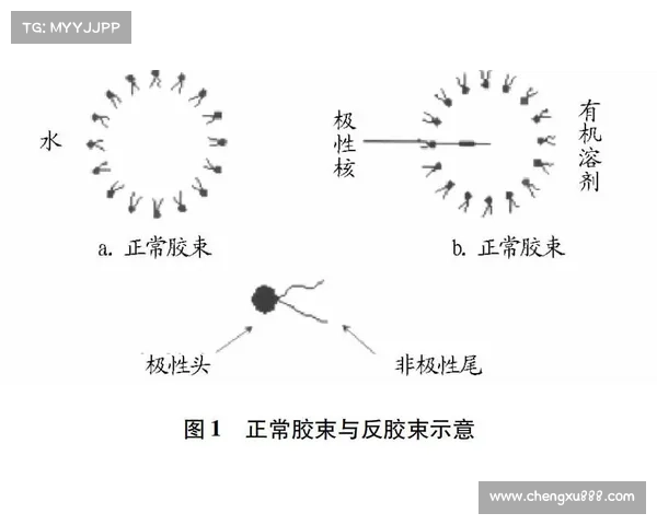 冰虫鳞片在生物材料领域的创新应用及其发展前景分析 冰虫鳞片在生物材料领域的创新应用及其发展前景分析