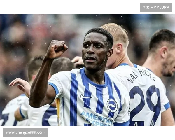 全方位全面解析维尔贝克被称黑贝的五大深层文化与文学影响成因探析